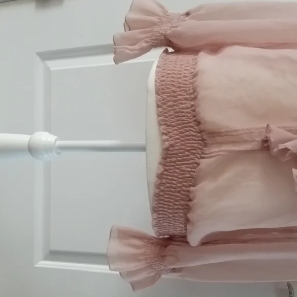 Chic Blush Ruffle Blouse - Picture 6 of 13